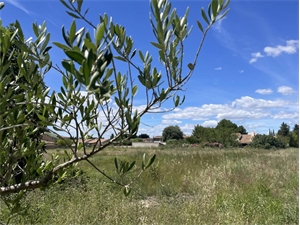 terrain a batir à la vente -   13990  FONTVIEILLE, surface 450 m2 vente terrain a batir - UBI450976361